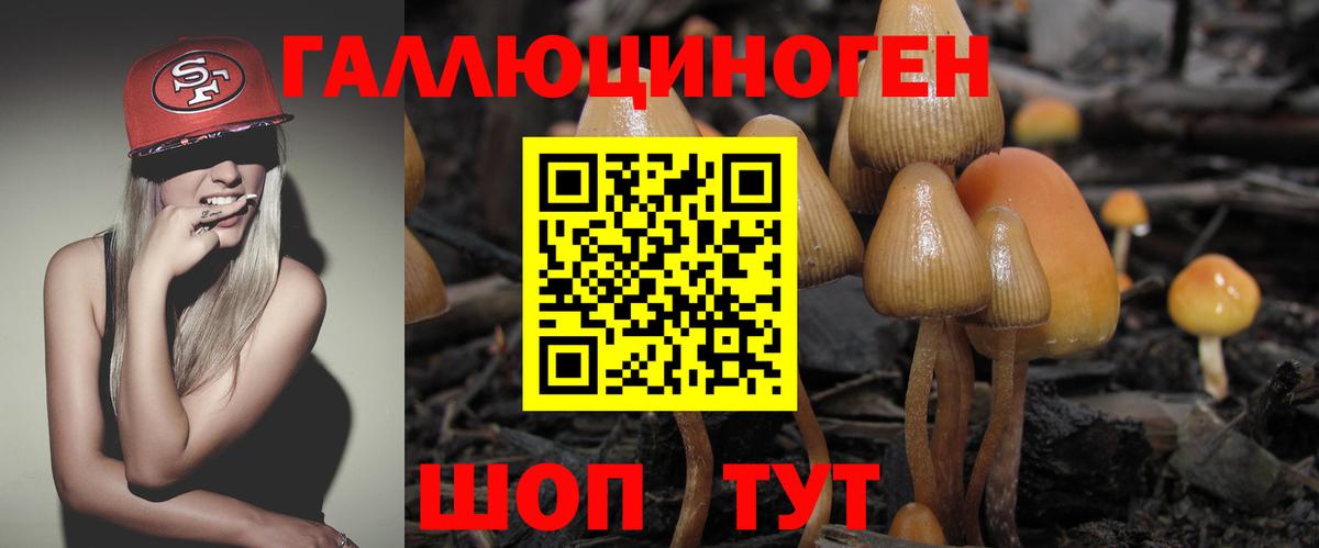 Галлюциногенные грибы Psilocybine cubensis Клин